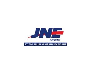 jne karir
