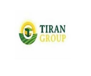 tiran group karir