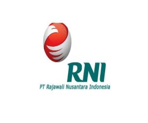 rajawali nusantara indonesia karir