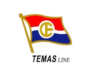 temas line karir
