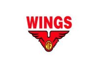 Lowongan Kerja Wings Group