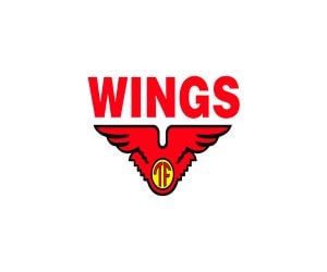 Lowongan Kerja Wings Group