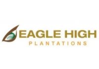 Lowongan Kerja PT Eagle High Plantations Tbk