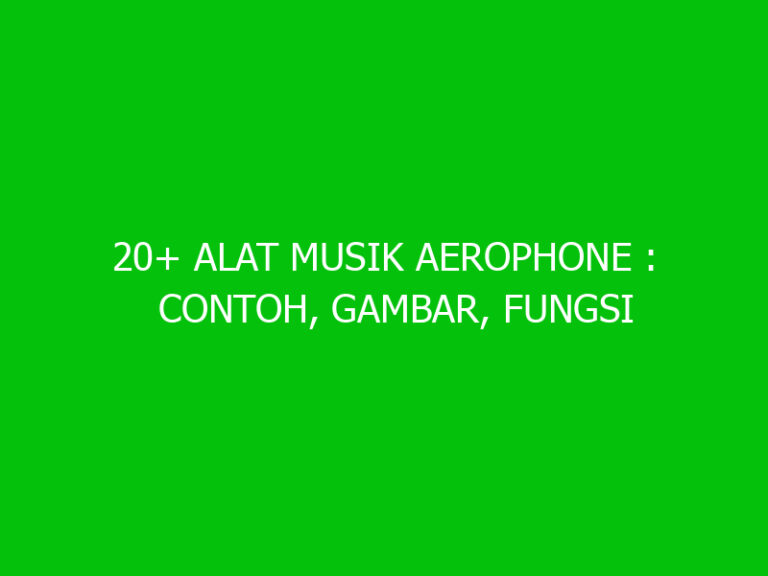 20+ Alat Musik Aerophone : Contoh, Gambar, Fungsi Dan Jenisnya - Ngelmu