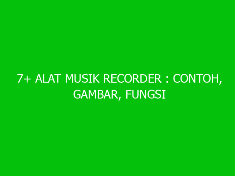 7+ Alat Musik Recorder : Contoh, Gambar, Fungsi Dan Jenisnya - Ngelmu