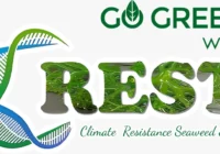 Lowongan Pekerjaan Staf Admin Accounting